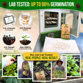 Thyme Seeds Pack 0.5 G