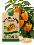 Sweet Bell Pepper Orange Horizon Seeds