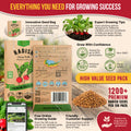 Cherry Belle Radish Seeds Pack 10G