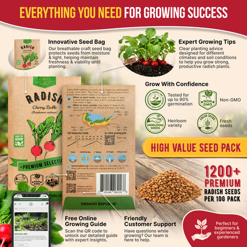 Cherry Belle Radish Seeds Pack 10G