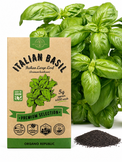 Italian Basil Italian Large Leaf Seeds