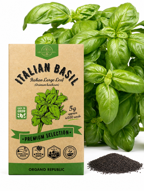 Italian Basil Italian Large Leaf Seeds