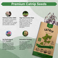 Catnip Seeds Pack 3G