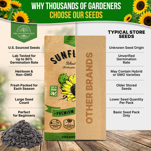 Sunflower Black Oil Seeds Pack 9G