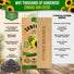 Sunflower Black Oil Seeds Pack 9G
