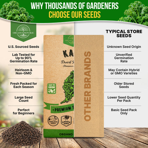 Kale Dwarf Siberian Seeds Pack 5G