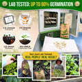 Pea Oregon Sugar Pod II Seeds Pack 15G