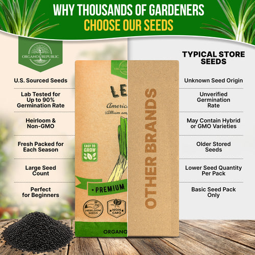 Onion Leek Seeds Pack 1G