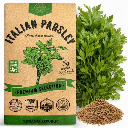 Italian Parsley Seeds Pack 5G