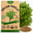 Italian Parsley Seeds Pack 5G