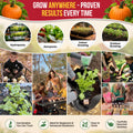 Pumpkin Connecticut Field Seeds Pack 10G