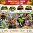 Pumpkin Connecticut Field Seeds Pack 10G