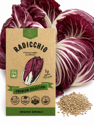 Radicchio Seeds