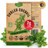Curled Chervil Seeds Pack 2G