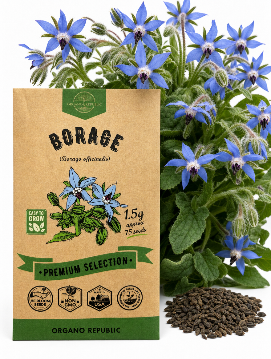 Borage Seeds