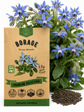 Borage Seeds