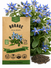 Borage Seeds