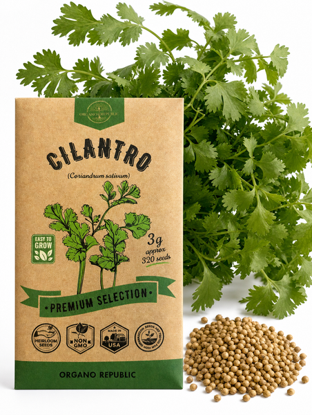 Cilantro Seeds