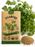 Cilantro Seeds
