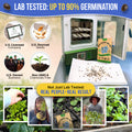 Cape Forget-Me-Not Seeds Pack 3G