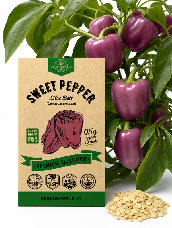 Sweet Pepper Lilac Bell Seeds