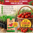 Tomato Large Cherry Seeds Pack 0.8G