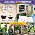 English Lavender Seeds Pack 2.5G