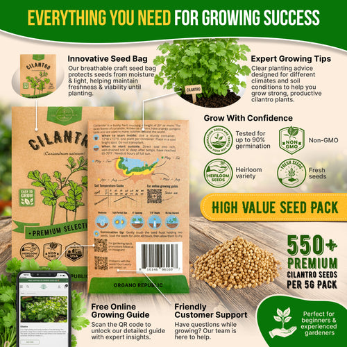 Cilantro Seeds Pack 5G