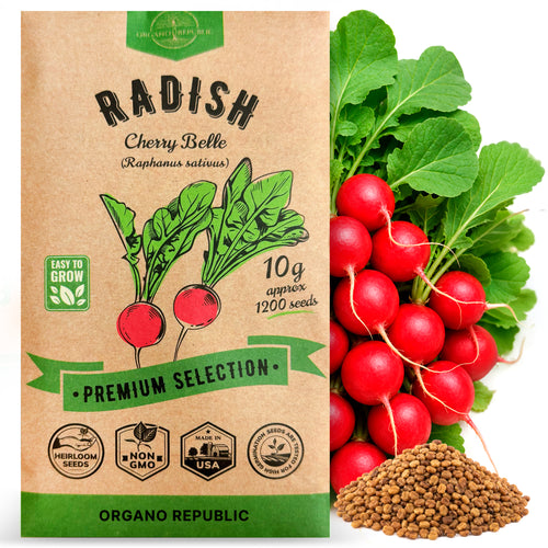 Cherry Belle Radish Seeds Pack 10G