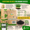 Onion Leek Seeds Pack 1G