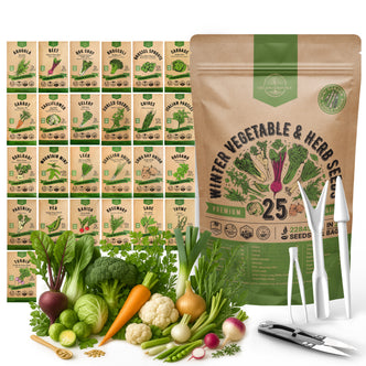 25 Winter Vegetable & Herb Seeds Variety Pack