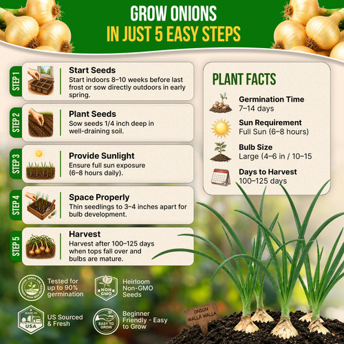 Onion Walla Walla Seeds Pack 1G