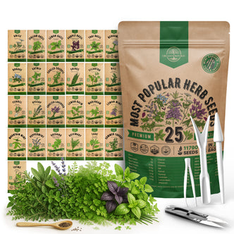 25 Most Popular Herb Seeds Variety Pack