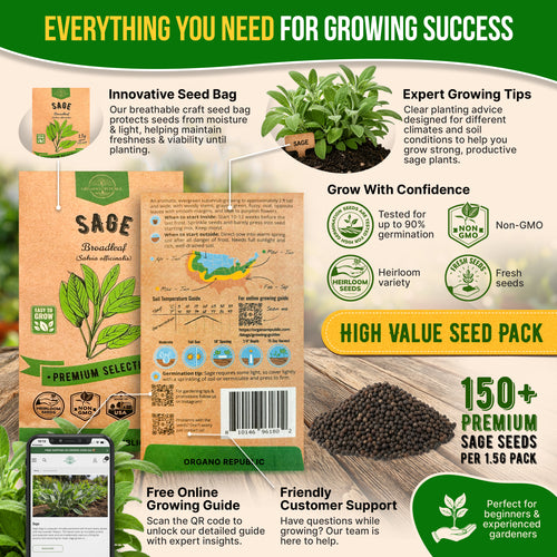 Sage Seeds Pack 1.5 G