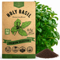 Holy Basil Seeds