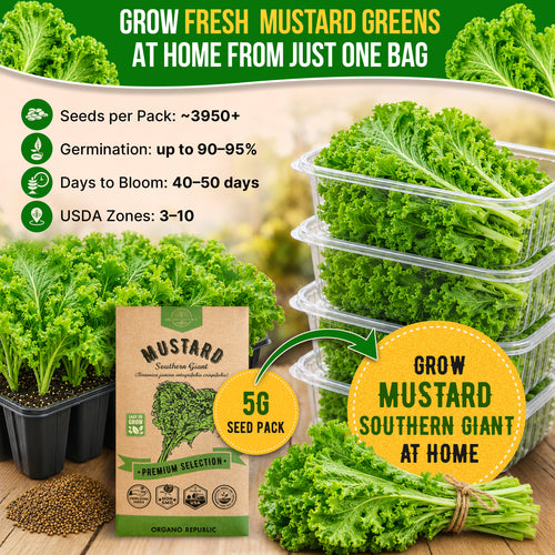Mustard Southern Giant Seeds Pack 5G