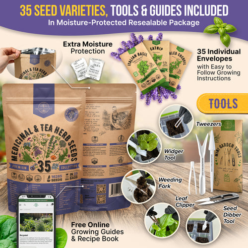 35 Medicinal & Tea Herb Seeds Variety Pack