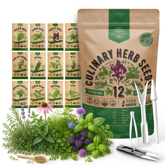 12 Culinary Herbs Seeds Variety Pack