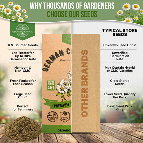 German Chamomile Seeds Pack 0.5G