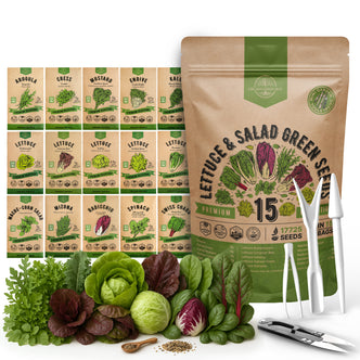 15 Lettuce & Salad Greens Seeds Variety Pack