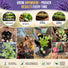 English Lavender Seeds Pack 2.5G