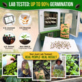 Holy Basil Seeds Pack 0.5G
