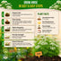 Anise Seeds Pack 5G
