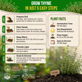 Thyme Seeds Pack 0.5 G