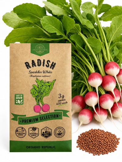 Radish Sparkler White Seeds