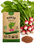 Radish Sparkler White Seeds