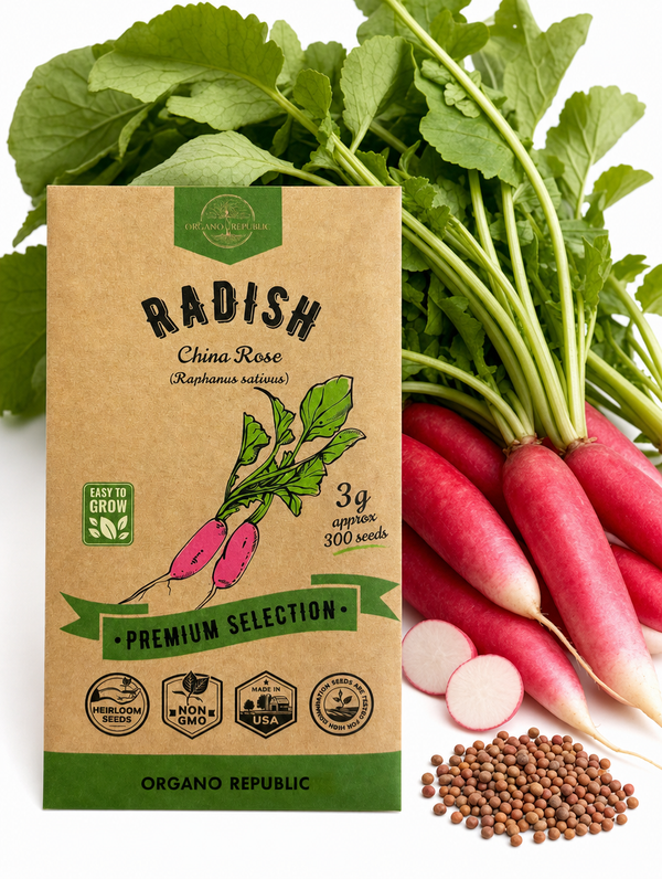 Radish China Rose Seeds