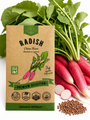Radish China Rose Seeds
