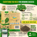 Kale Dwarf Siberian Seeds Pack 5G