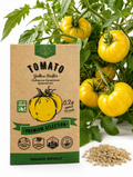 Tomato Yellow Stuffer Seeds